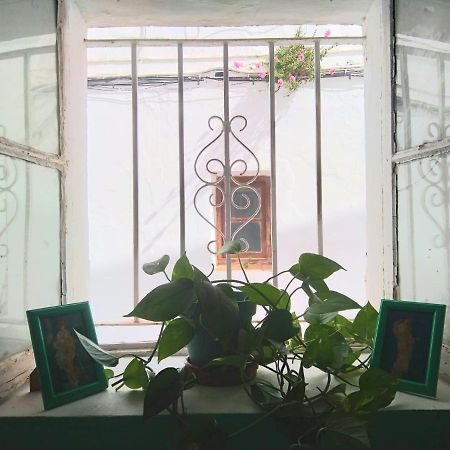 Villa Merced Vejer de la Frontera Εξωτερικό φωτογραφία